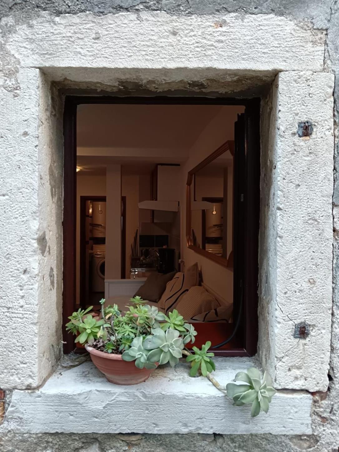 Lamar Cres Buitenkant foto